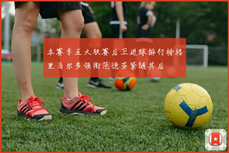 本赛季五大联赛后卫进球排行榜格里马尔多领衔范德芬紧随其后
