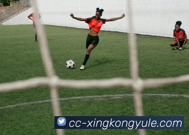 星空娱乐平台生态图