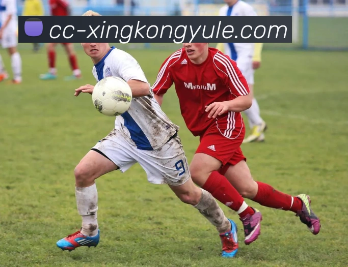 星空娱乐APP 封面图