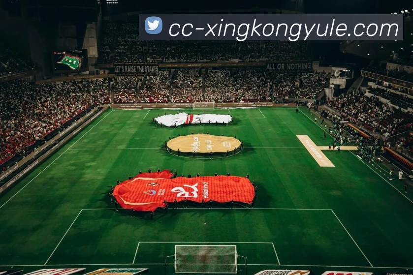 数据防护可视化